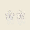 Boucles d'oreilles clous couleur argent femme