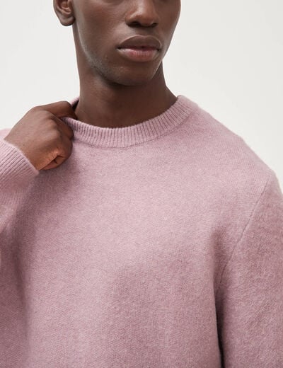 Pull droit col rond manches longues parme homme