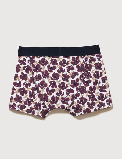 Lot de 3 boxers marron fonc&eacute; homme