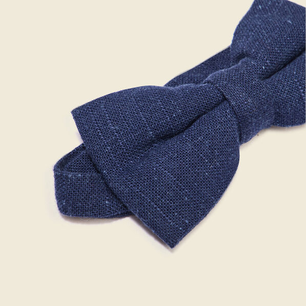 Noeud de papillon bleu foncé homme