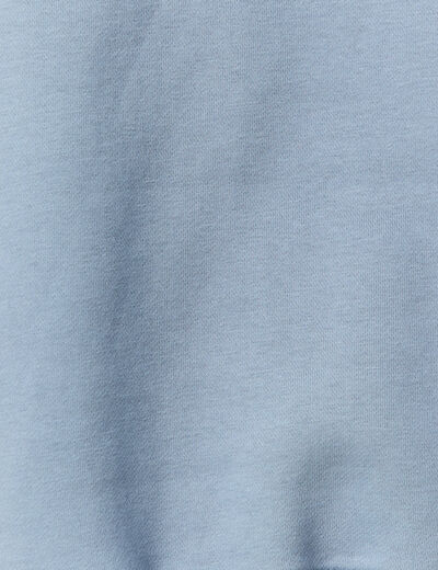 Sweat &agrave; capuche manches longues bleu gris homme
