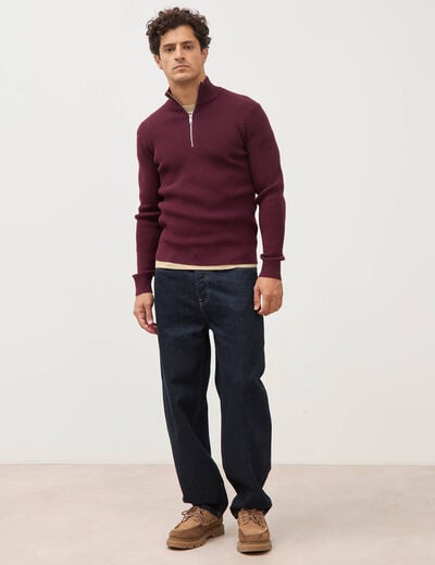 Pull col camionneur prune homme