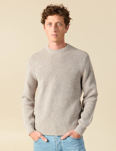 Pull manches longues gris clair homme