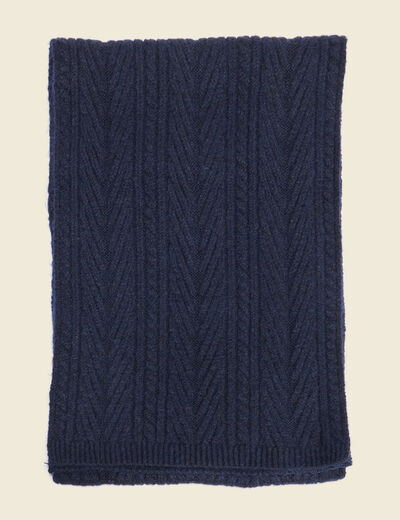 &Eacute;charpe bleu marine homme