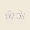 Boucles d'oreilles clous couleur argent femme