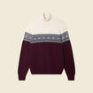 Pull manches longues prune homme