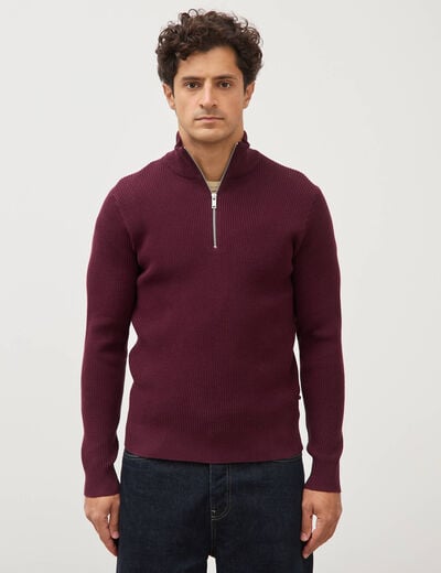 Pull col camionneur prune homme