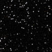 Débardeur sans manches sequins noir femme