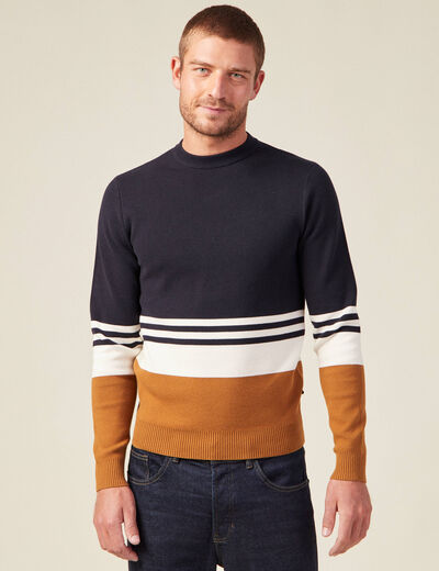 Pull col rond éco-resposnable bleu marine homme