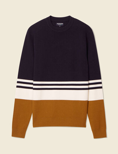 Pull col rond éco-resposnable bleu marine homme