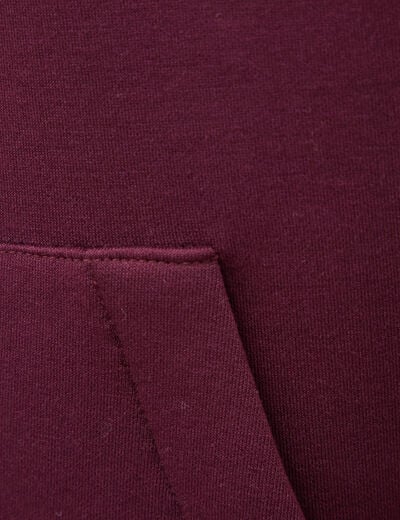 Sweat ample &agrave; capuche manches longues prune homme