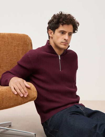 Pull col camionneur prune homme