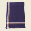 Foulard bleu marine homme