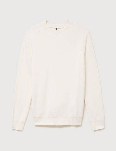Pull manches longues col rond ecru homme