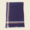 Foulard bleu marine homme