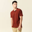 Polo manches courtes marron cognac homme