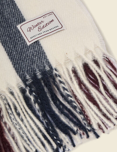 &Eacute;charpe bordeaux homme
