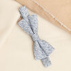 Noeud papillon vert clair homme