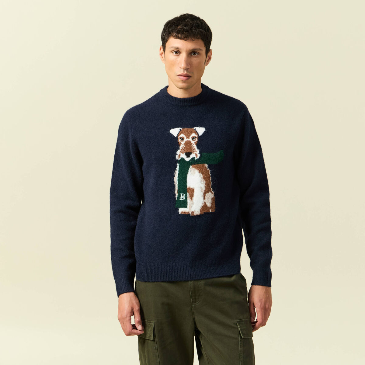 Pull col rond manches longues bleu marine homme