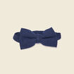 Noeud de papillon bleu foncé homme