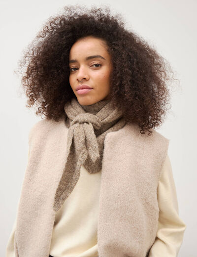 &Eacute;charpe taupe homme