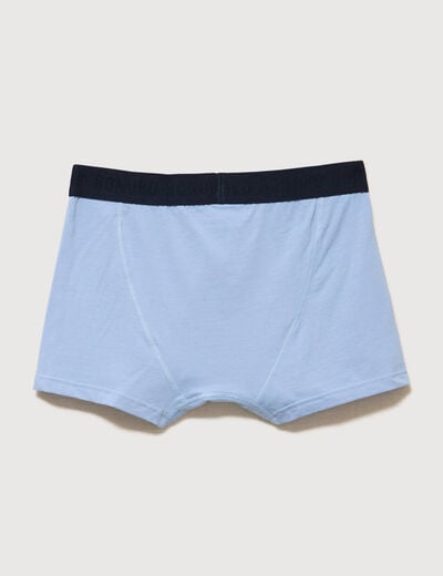Lot de 3 boxers bleu gris homme