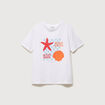 T-shirt droit col rond manches courtes blanc femme