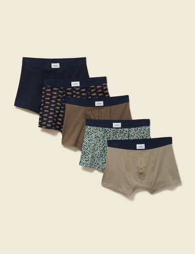 Lot de 5 boxers taupe homme