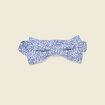 Noeud de papillon multicolore homme