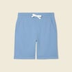 Bermuda bleu gris homme