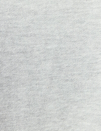 Sweat col rond manches longues en coton gris homme