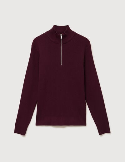Pull col camionneur prune homme