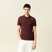 Polo manches courtes bordeaux homme