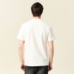 Polo manches courtes ecru homme