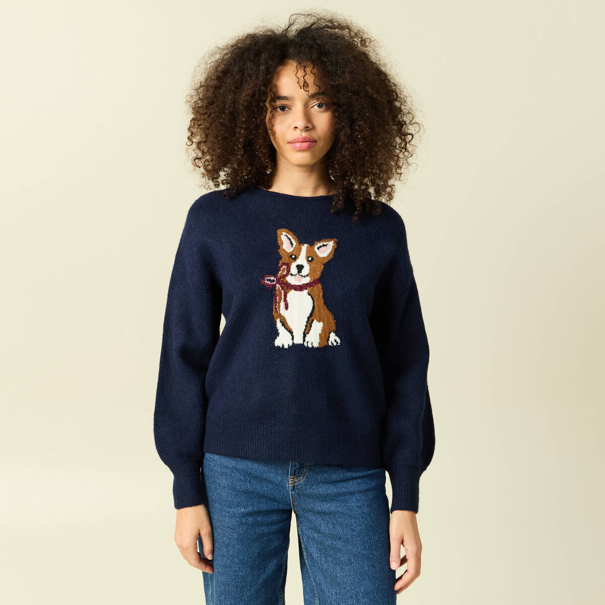 Pull col rond manches longues bleu marine femme