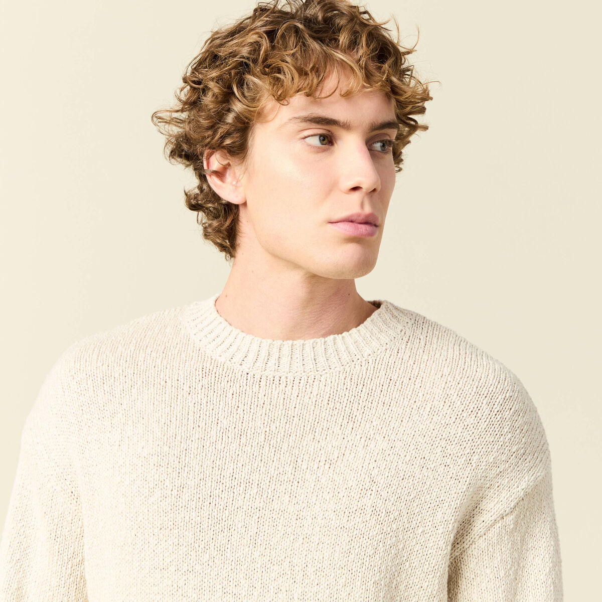 Pull col rond manches longues en coton sable homme