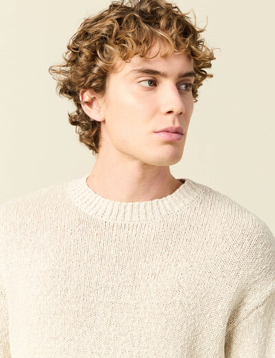 Pull col rond manches longues en coton sable homme