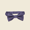 Noeud de papillon bleu marine homme