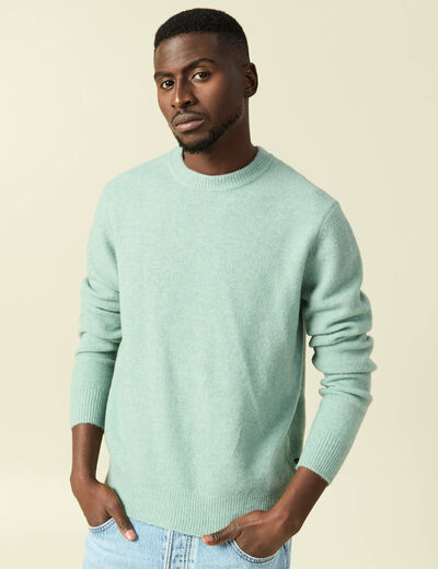 Pull manches longues col rond vert pastel homme