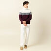 Pull manches longues prune homme