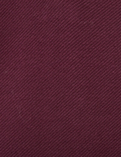 Polo droit manches longues prune homme