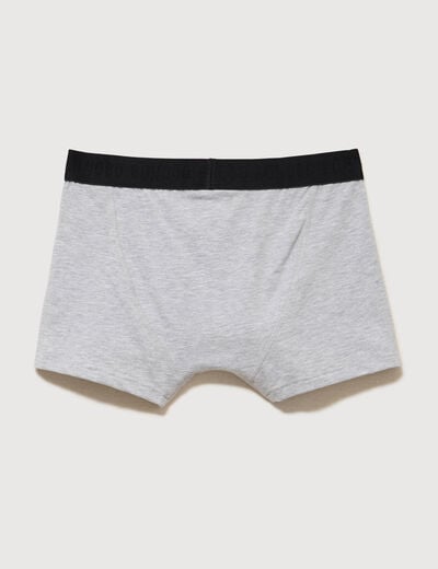 Lot de 3 boxers gris clair homme
