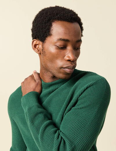 Pull col rond manches longues en coton vert homme