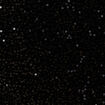 Jupe droite velours sequins noir femme