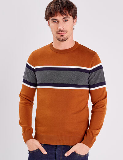 Pull manches longues marron homme