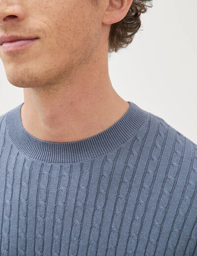 Pull col rond bleu gris homme