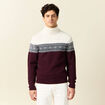 Pull manches longues prune homme