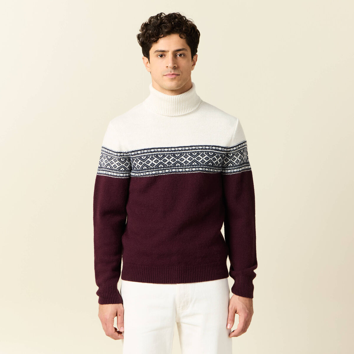 Pull manches longues prune homme