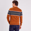 Pull manches longues marron homme