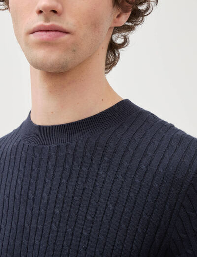 Pull col rond bleu marine homme